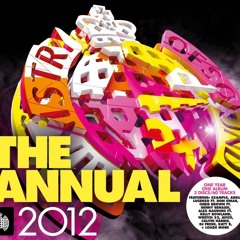 The Annual 2012 Megamix