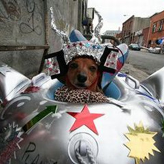 Dog Soldiers - Blast Off