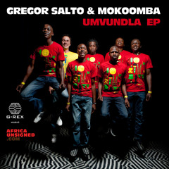 Gregor Salto and Mokoomba - Welele (Original Mix)