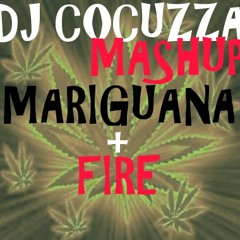 PROVENZANO vs QUINTINHO - MARIGUANA FIRE (DJ COCUZZA MASHUP)