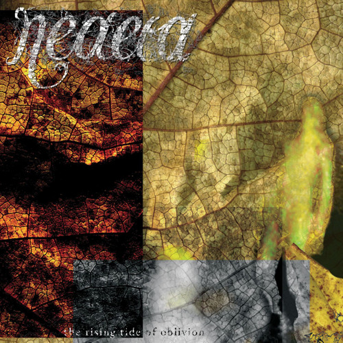 neaera-broken-spine