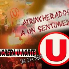 Nos Sobra Aliento - Como no voy a quererte Universitario