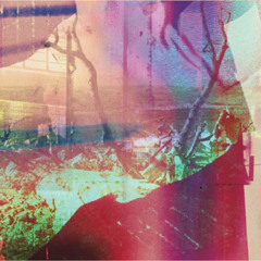 Preston Lovinggood - No Baby