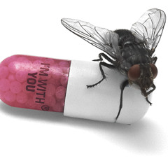 Chili Peppers -The Adventures of Rain Dance Maggie  (XY-Me Remix) **Free Download**