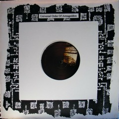 Universal Order of Armageddon 11 Desperate Motion