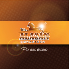 Trio alazan huasteco - el periquero en vivo mp3