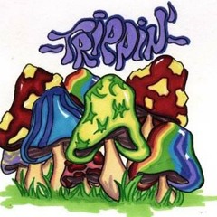 Trippin' - The Intern Ft. Jordan Gibbs, Boss Manny & J_PaTT (Produced By Max Herren)