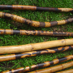 Didgeridoo 06