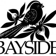 Anthony Raneri(Bayside) - About a Girl