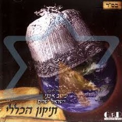 ליאור נרקיס - התיקון הכללי