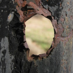 roboJaw: starry eyed