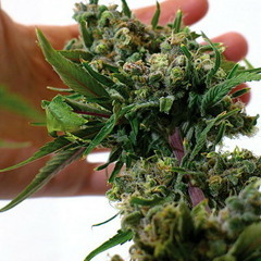 J 'dot L.P production 4X4 bassline - i just wanna get along wiv you FREE DOWNLOAD!!