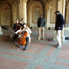 Sounds at Central Park Loop