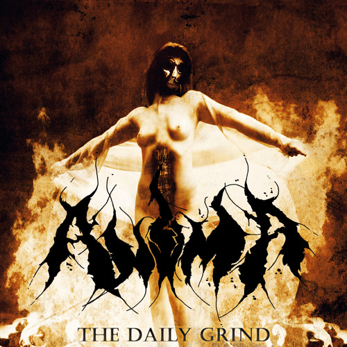 anima-the-daily-grind