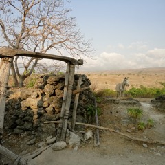 Biak: Dun Sner War Song.