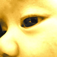 La La, What Did The Morning Dove Say ?