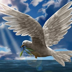 الشيخ الصغير - فرقة الحمائم البيض