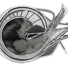 lissom - process part 281 (03 - vast nothingness)