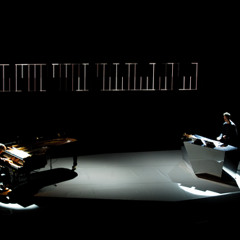 Alva Noto + Ryuichi Sakamoto ' Trioon I '