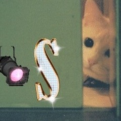 Chris Brown feat. Twista- Let's Make A Movie (S&S Remix)