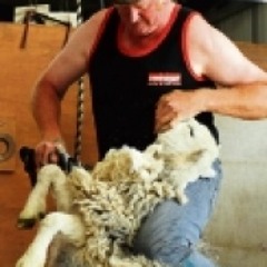 Shotgun Force - Cut The Bloody Wool Off