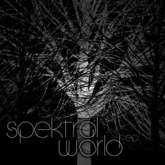 Defacespektral - Spektral Noise (Original Mix)