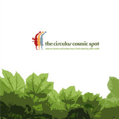 The Circular Cosmic Spot [mixtape]