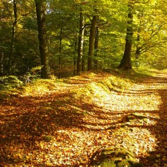 Tilzen -  Herbstmelodien 2011