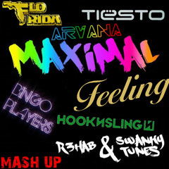 Tiesto, Flo Rida, Hook N Sling, Bassjackers, R3hab & Swanky Tunes - Maximal Feeling (Arvana Mash-Up)