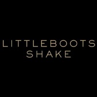 Little Boots - Shake