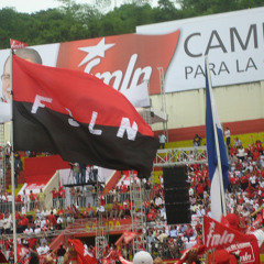 The Power Players of Venezuela, Nicaragua & Guatemala (Lp111111)