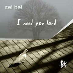 Cei Bei - I Need You Lord (The Antidotes Vocal Mix)