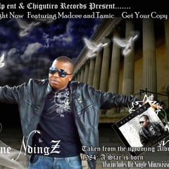 Ndokudza Sei ft Shamiso Gomo