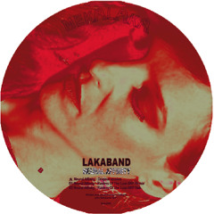 LAKABAND - Neural Affinity (Raiders Of The Lost ARP Remix) MEKA002