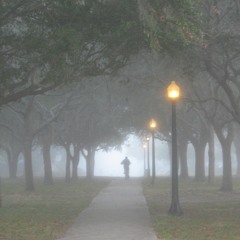 Bad Reputation- Freedy Johnston Cover