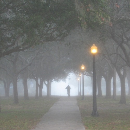 Bad Reputation- Freedy Johnston Cover