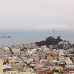 Metro Area