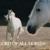 Artwork for Protohype & Khemehk - ShadowFax