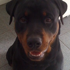 if u listen for 6 minits?..... ur bord... theres a hoook in here somewhere!!!