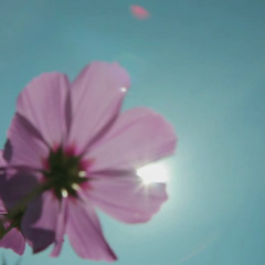 Love Track (DerRalle Beat)+Interlude