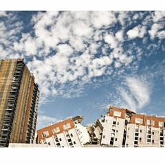 Camaleon - 27 de febrero