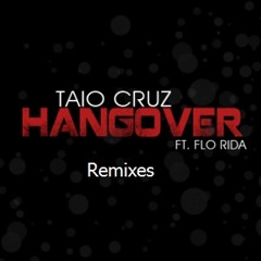 Taio Cruz - Hangover vs. Blow Up (Sparvath Extended Mashup)