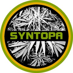 Syntopa - Dubwize