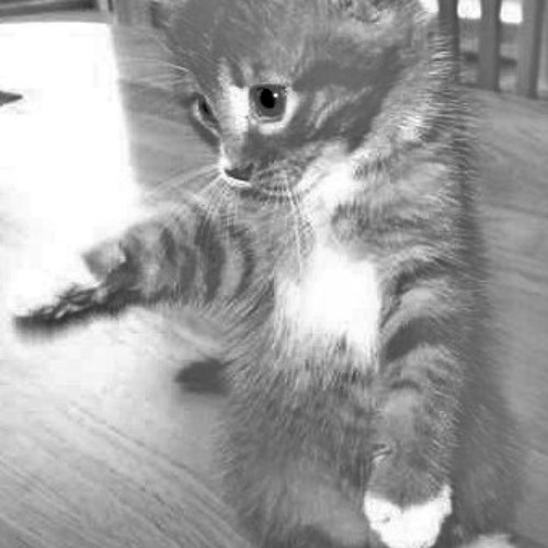 I'm gonna fall asleep