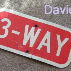 DavidM - Three Way [11.2011]
