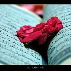 روائـع الـتـلاوات