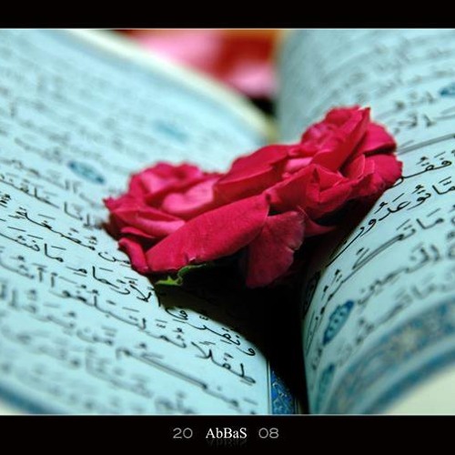 روائـع الـتـلاوات