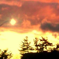 Or How Misunderstandings Are Born (excerpt)