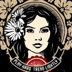 Rocking the Daisies set 2011