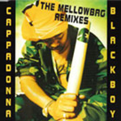Cappadonna - Black Boy (DJ B.Side-Mellowbag Remix)
